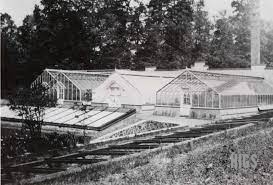 History-of-greenhouse